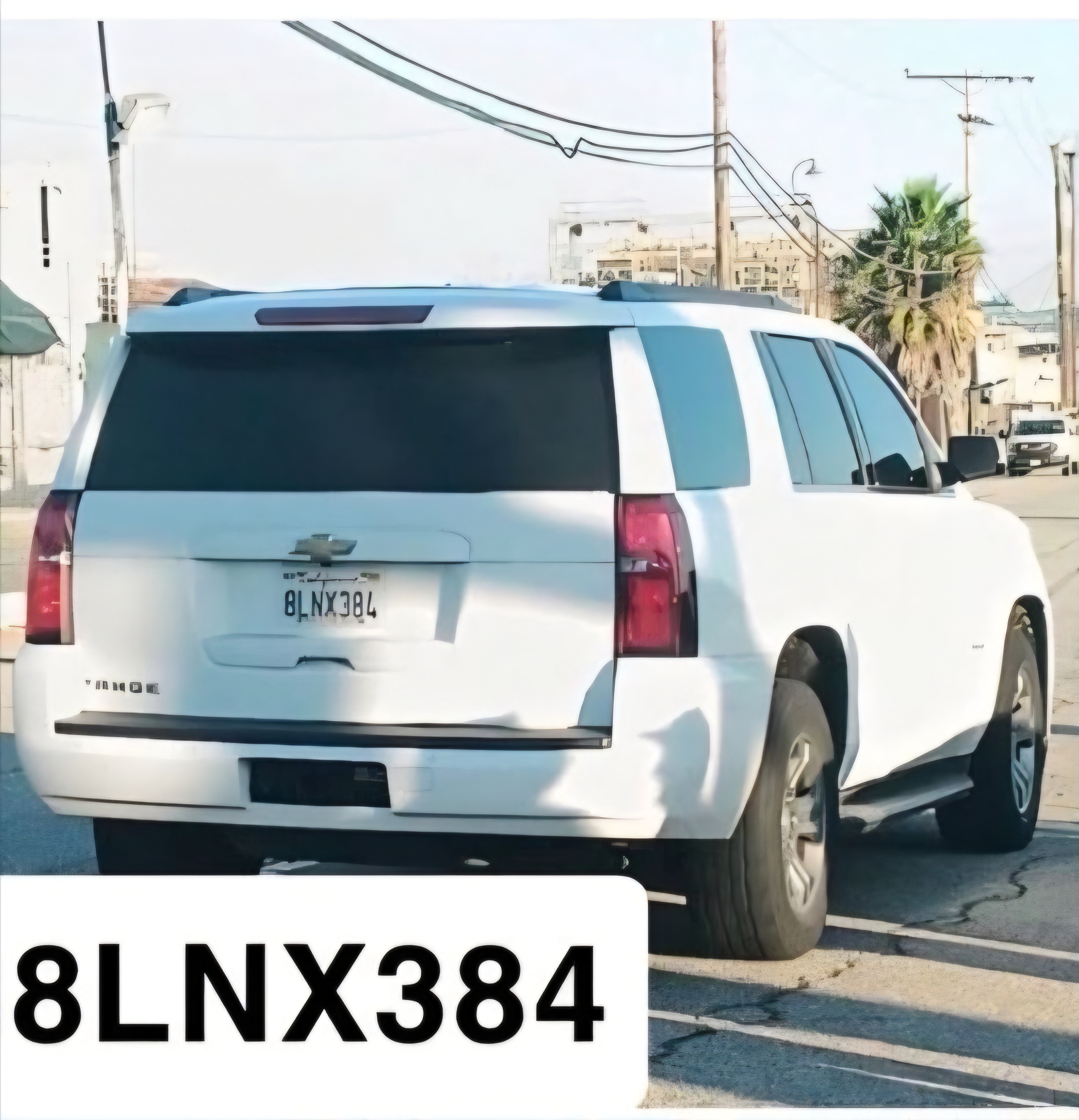 Stop ICE Plate Tracker - Plate #8LNX384