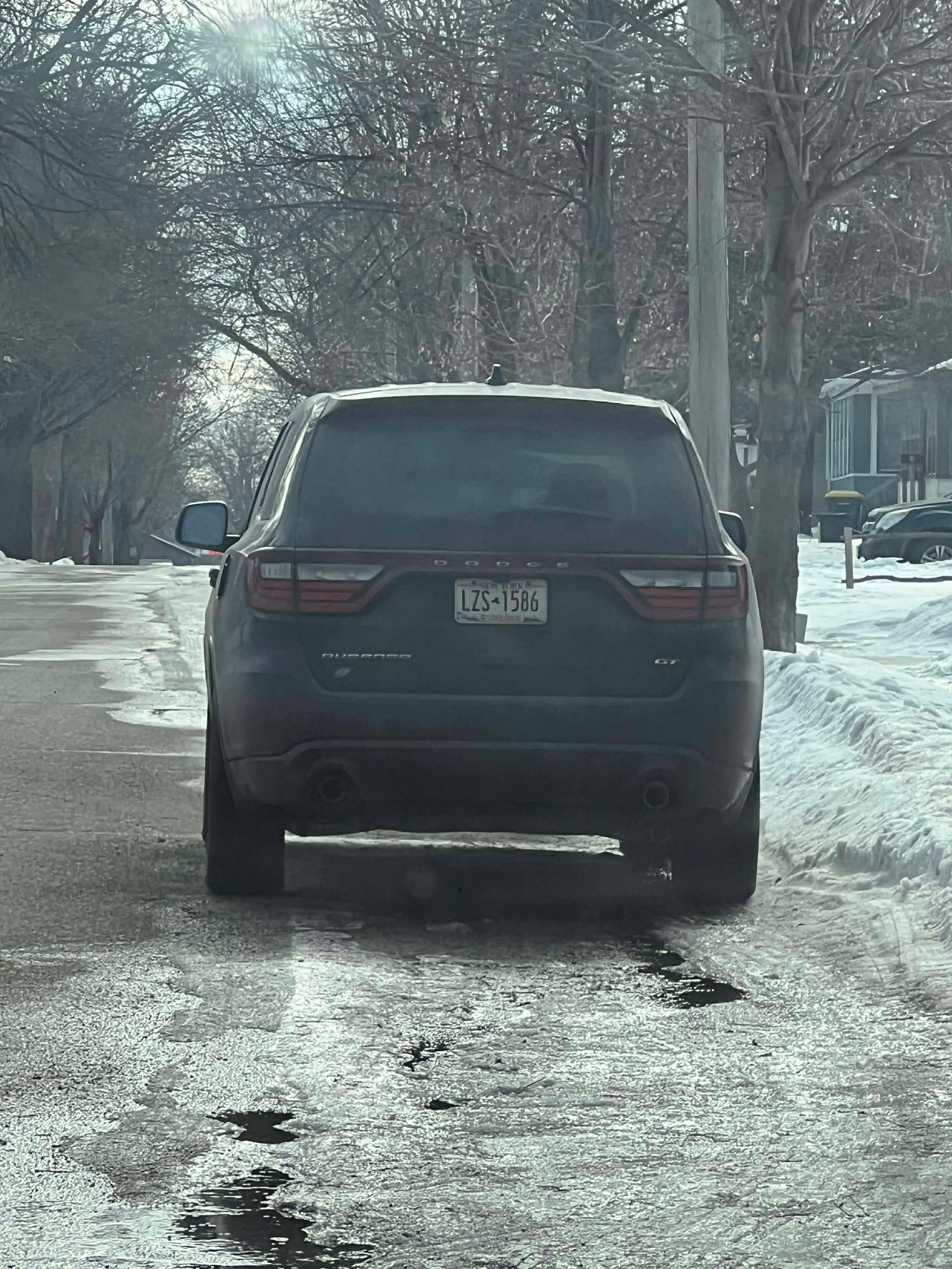 Stop ICE Plate Tracker - Plate #LZS1586