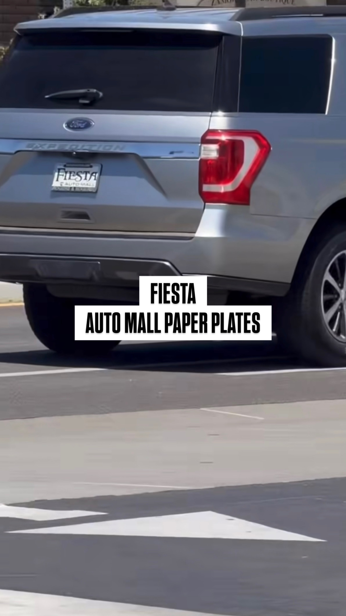 Stop ICE Plate Tracker - Plate #FIESTA